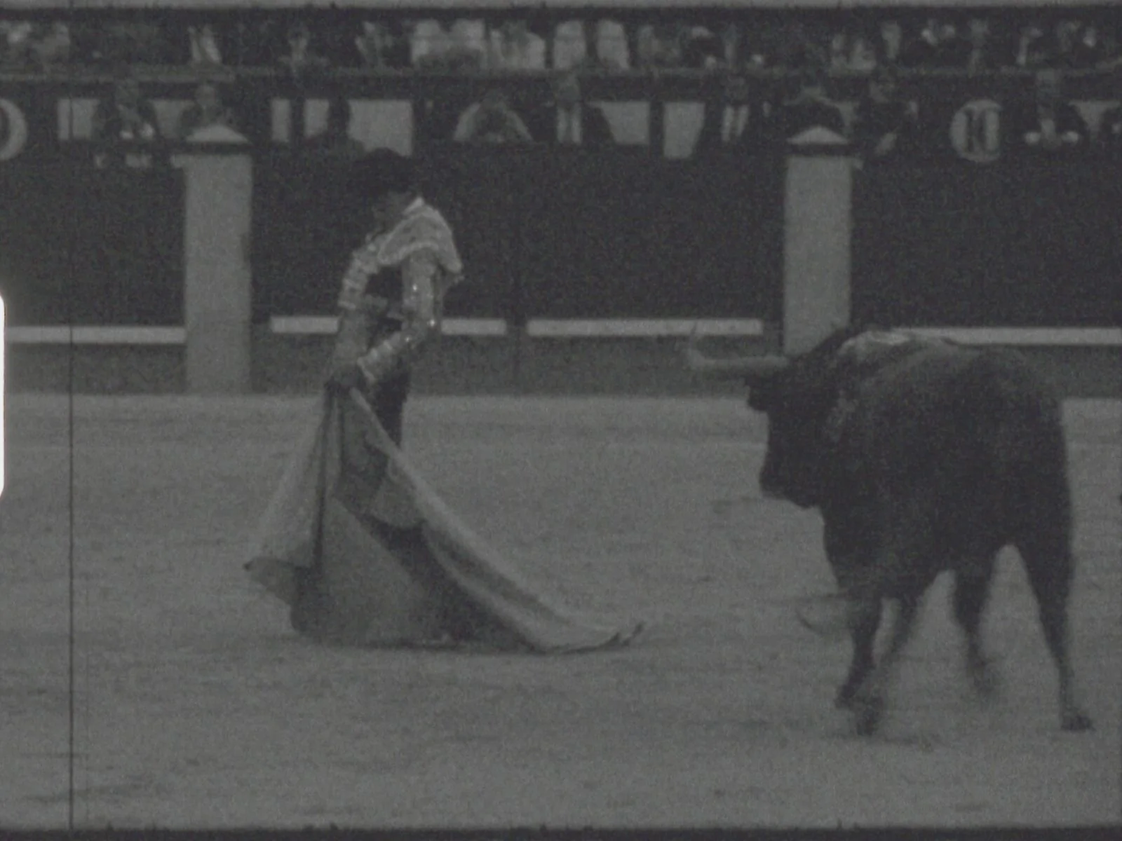 El Brujo: Julio Zachrisson, still