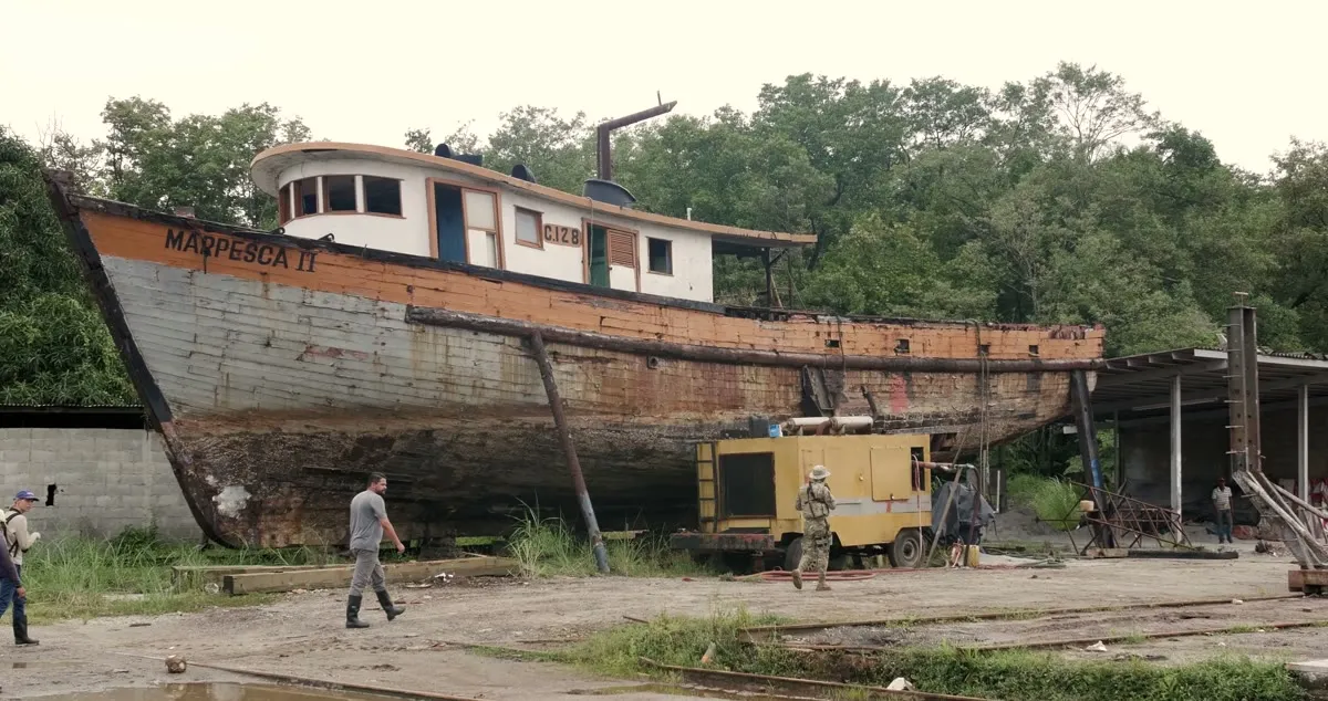 Manglar Resiliente · La química del hábitat