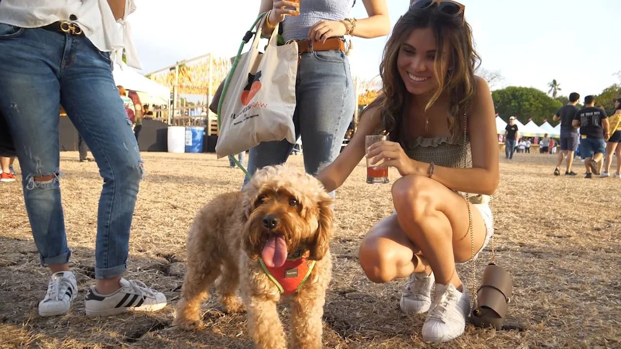 Micro Brew Fest 2019