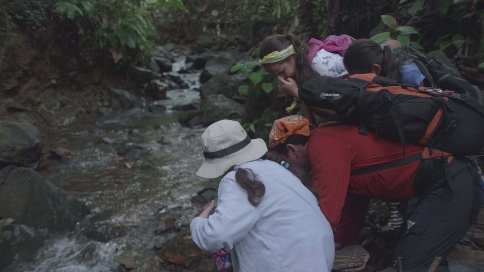 Los Cuentos del Bosque, film still