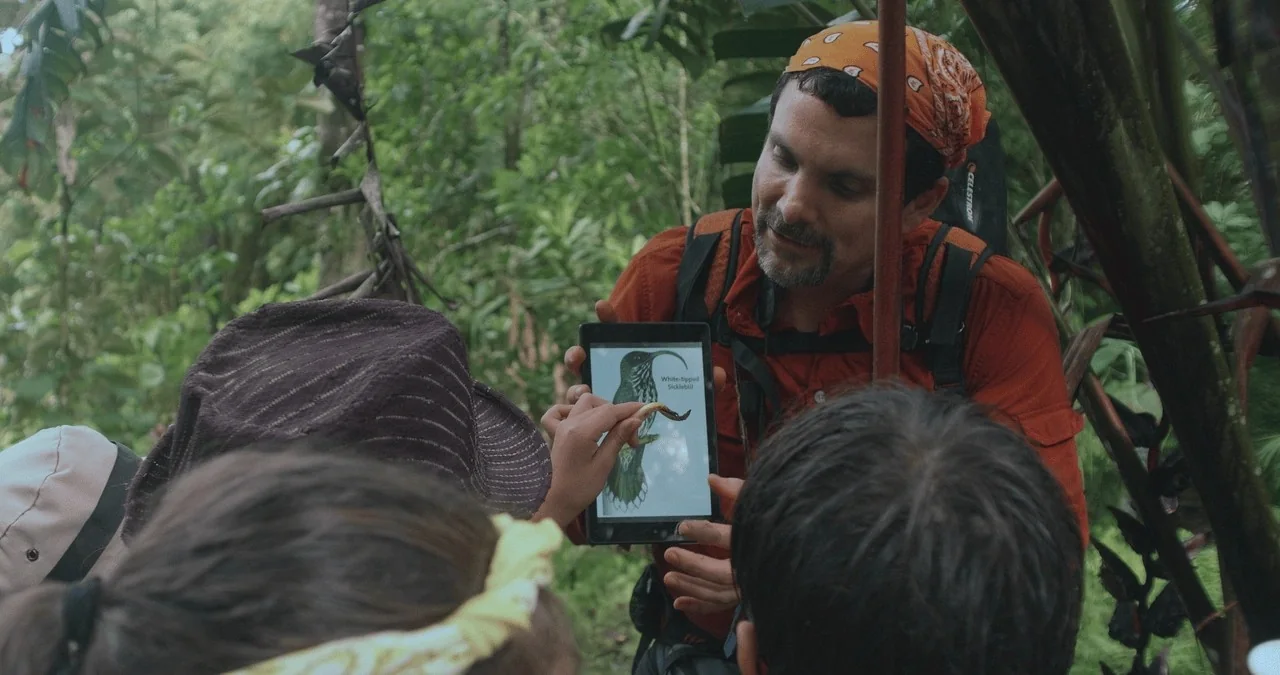 Los Cuentos del Bosque, still