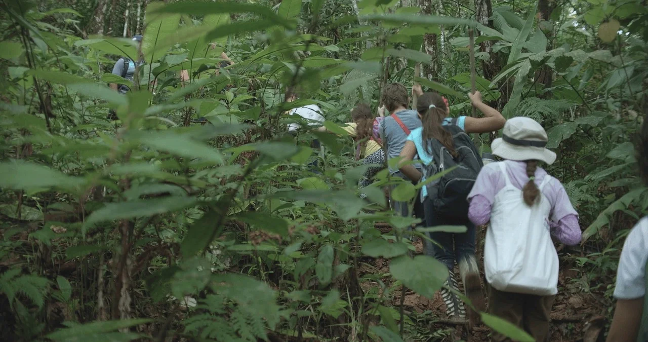 Los Cuentos del Bosque, still