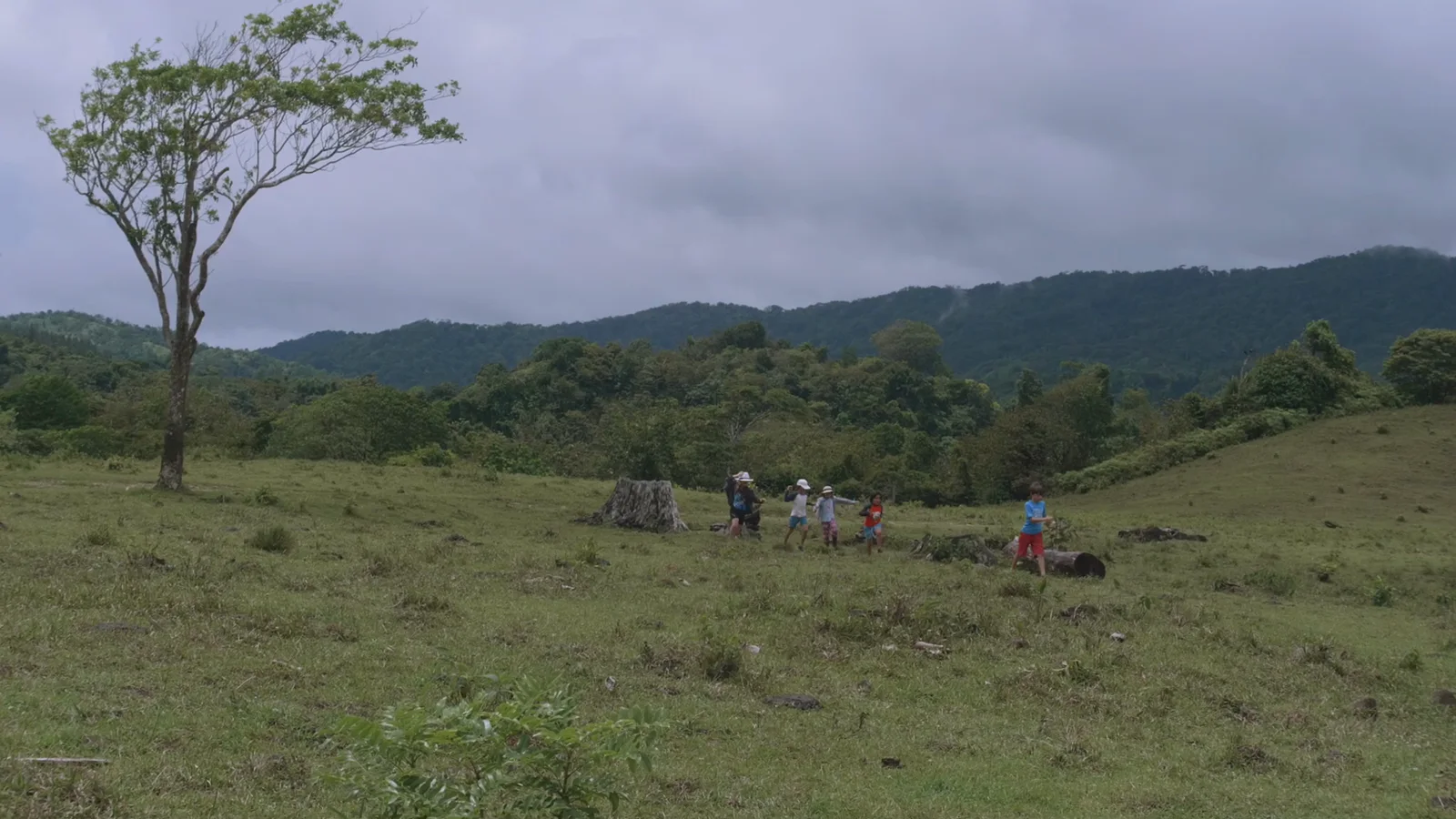Los Cuentos del Bosque, still