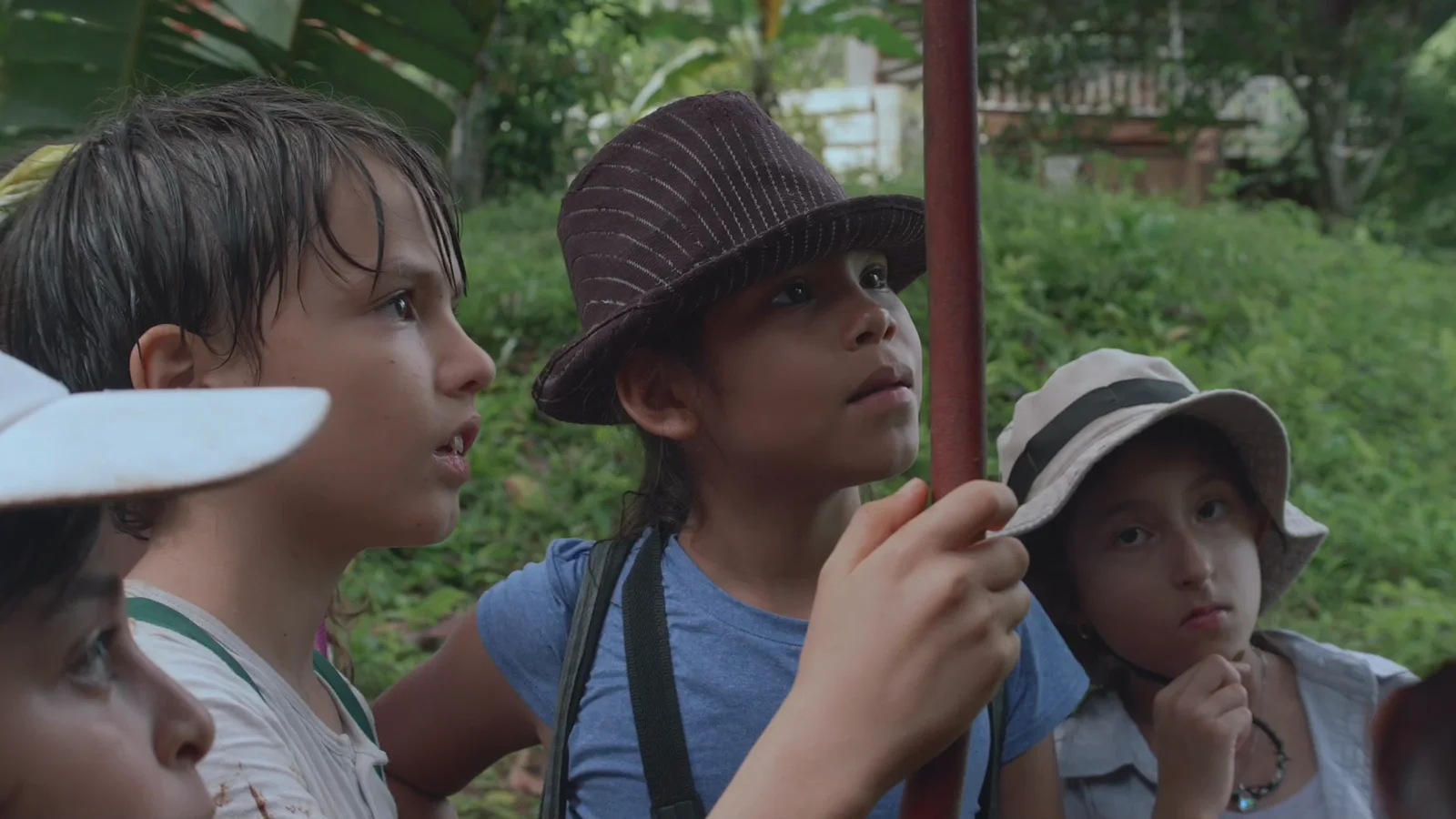 Los Cuentos del Bosque, still
