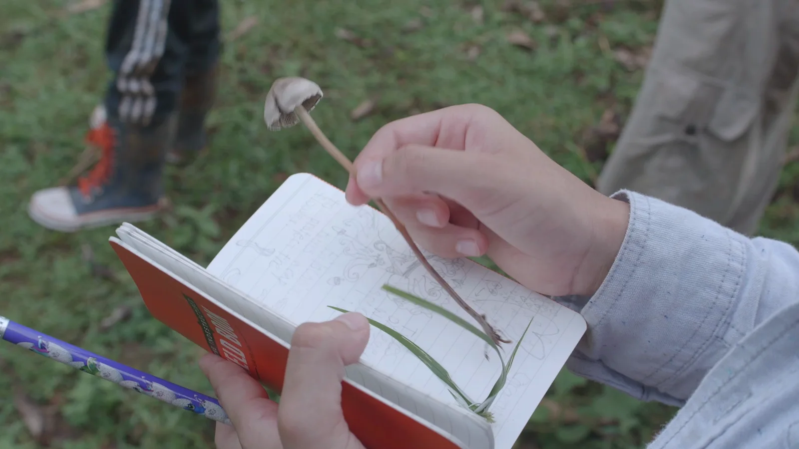 Los Cuentos del Bosque, still