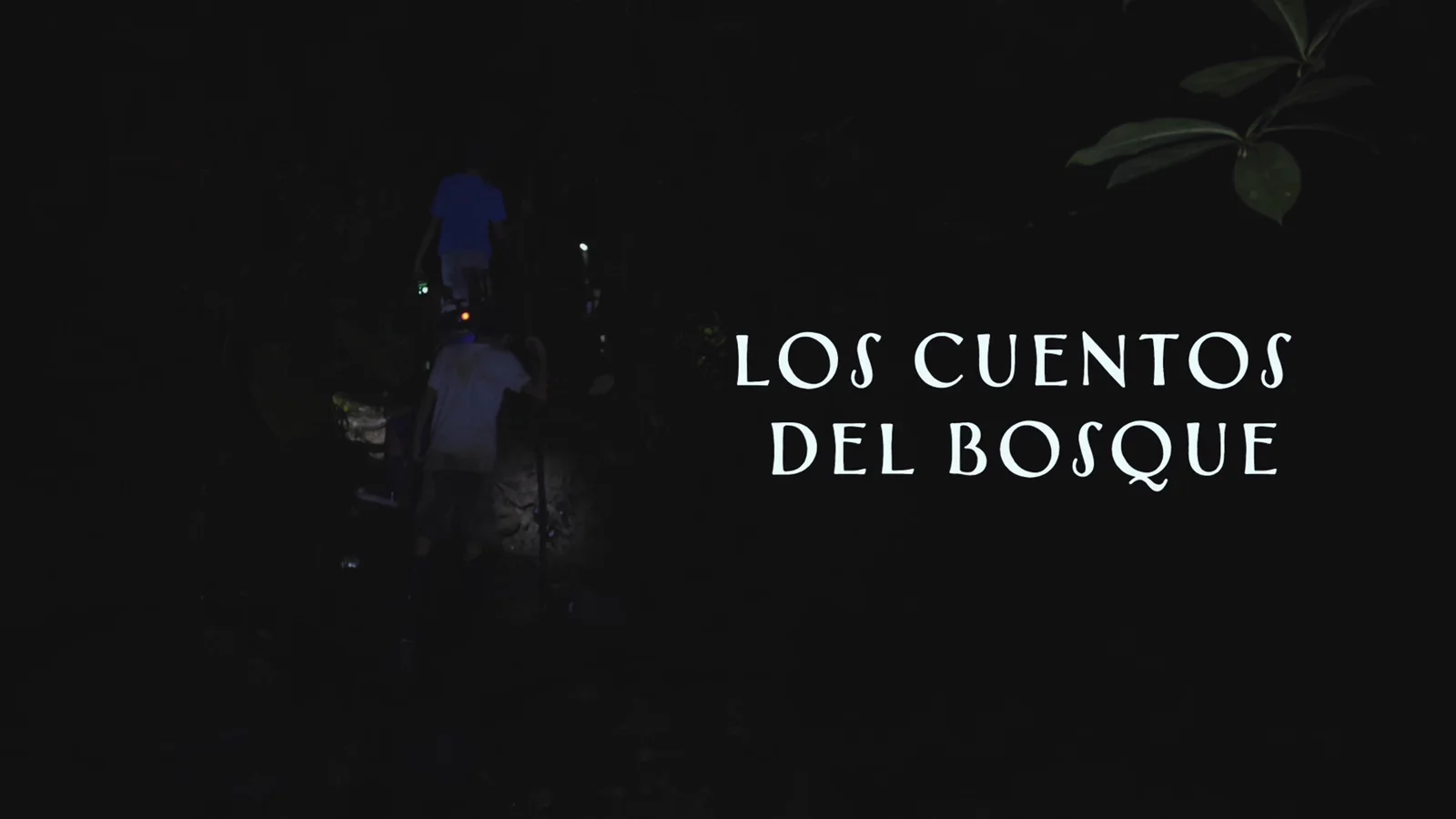 Los Cuentos del Bosque, still