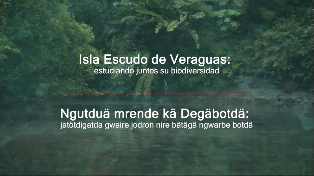 Isla Escudo de Veraguas · Estudiando juntos su biodiversidad, still