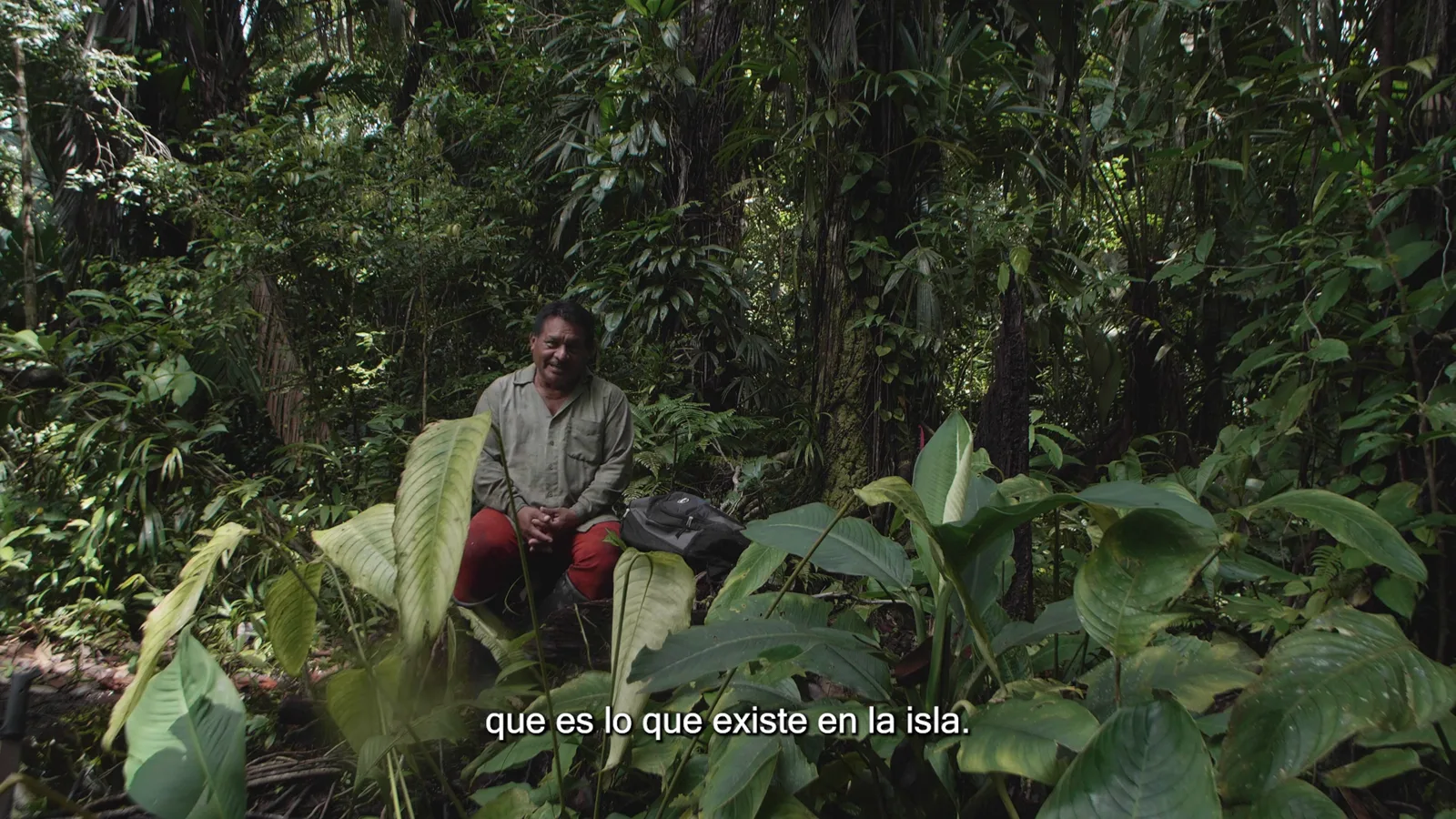 Isla Escudo de Veraguas · Estudiando juntos su biodiversidad, still