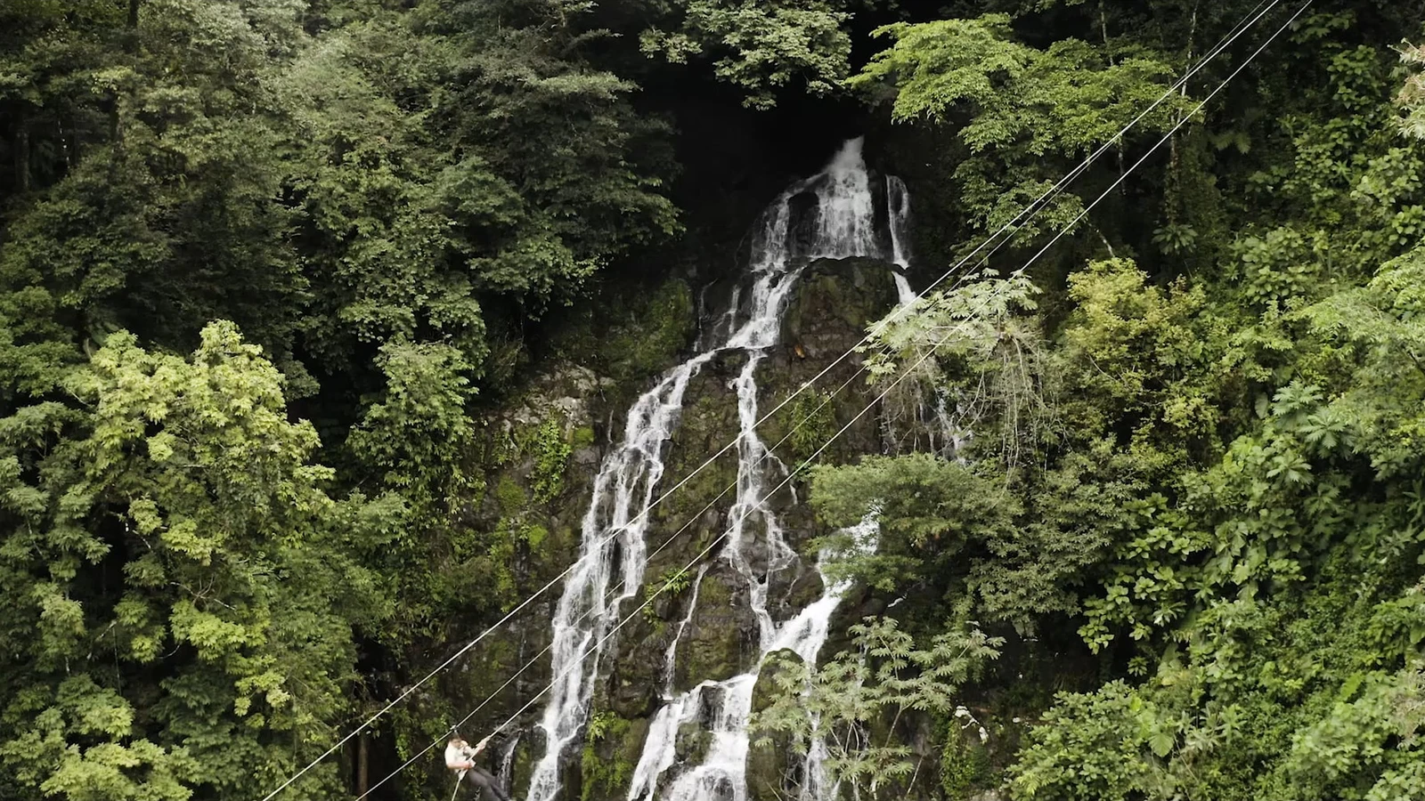 Fly over a cloud forest