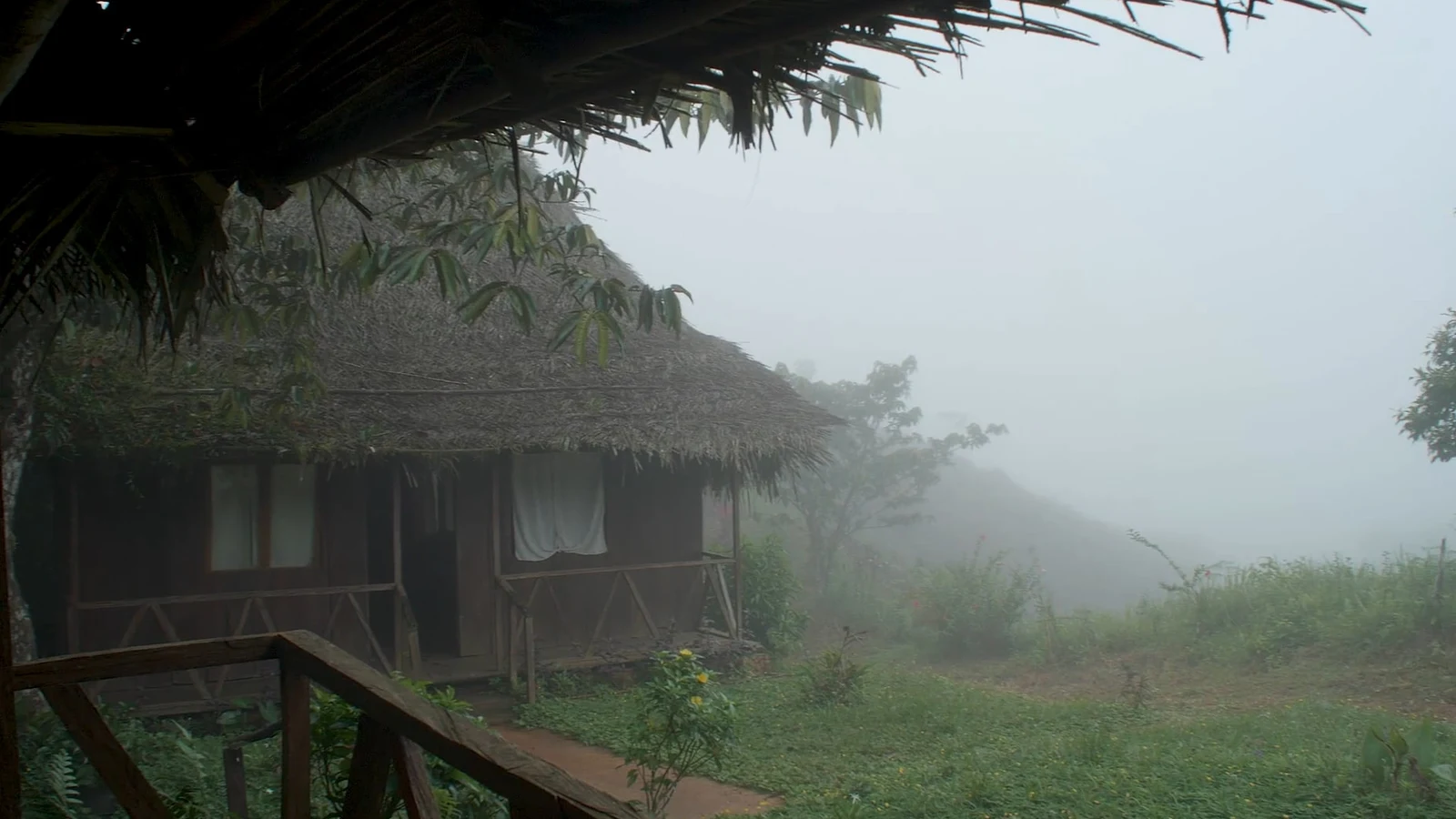 Cross the Darién Gap
