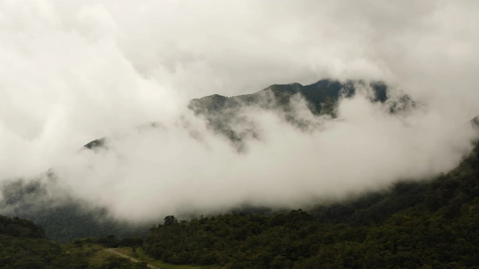 Get lost in the mist