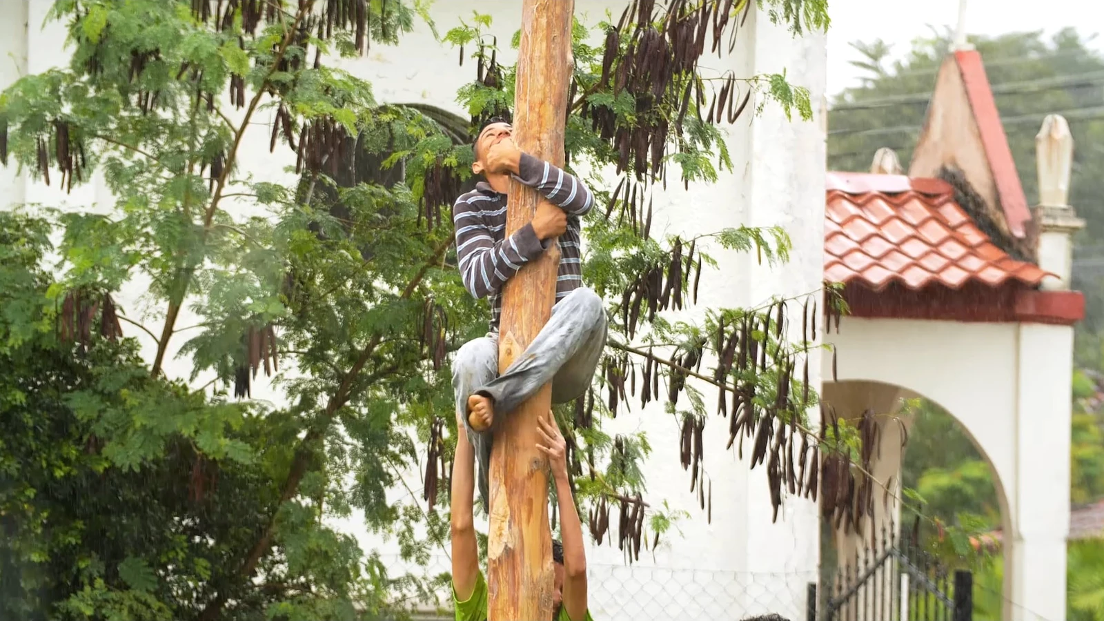 Climb the greased pole