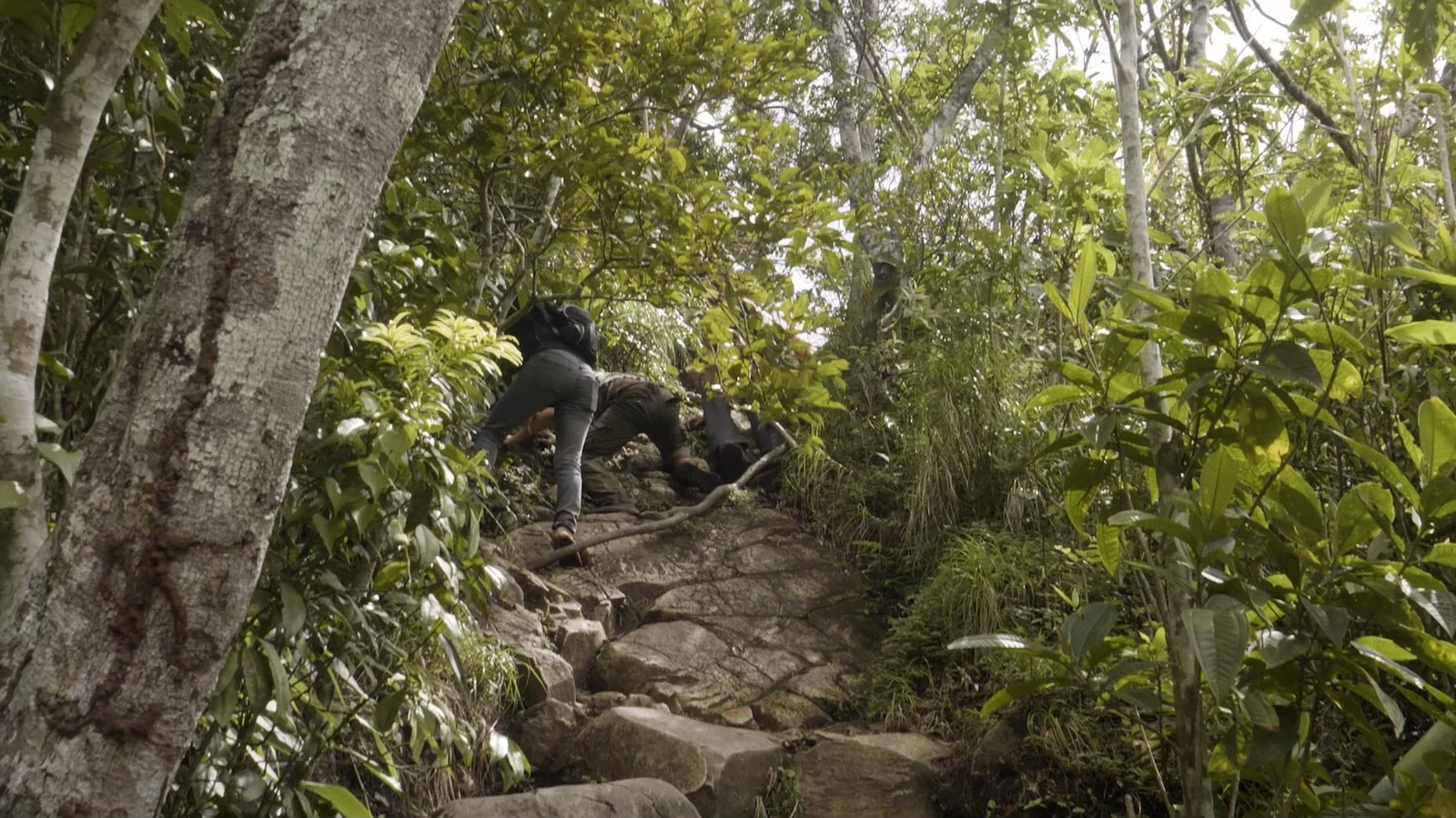 Explore the La Cruz trail