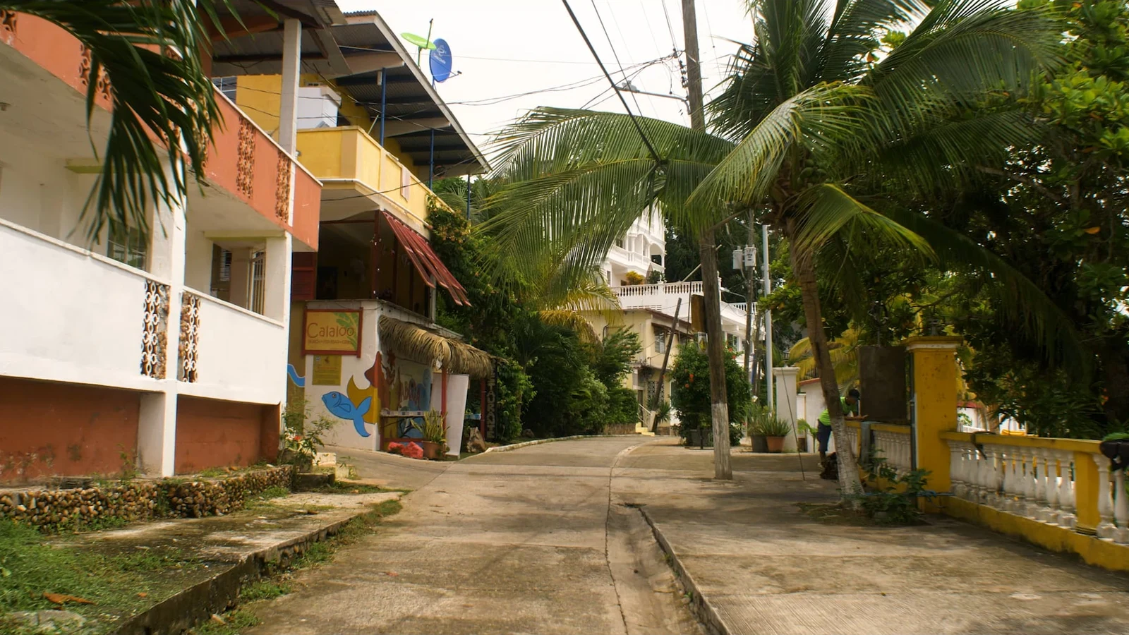 Climb the highest hill in Taboga