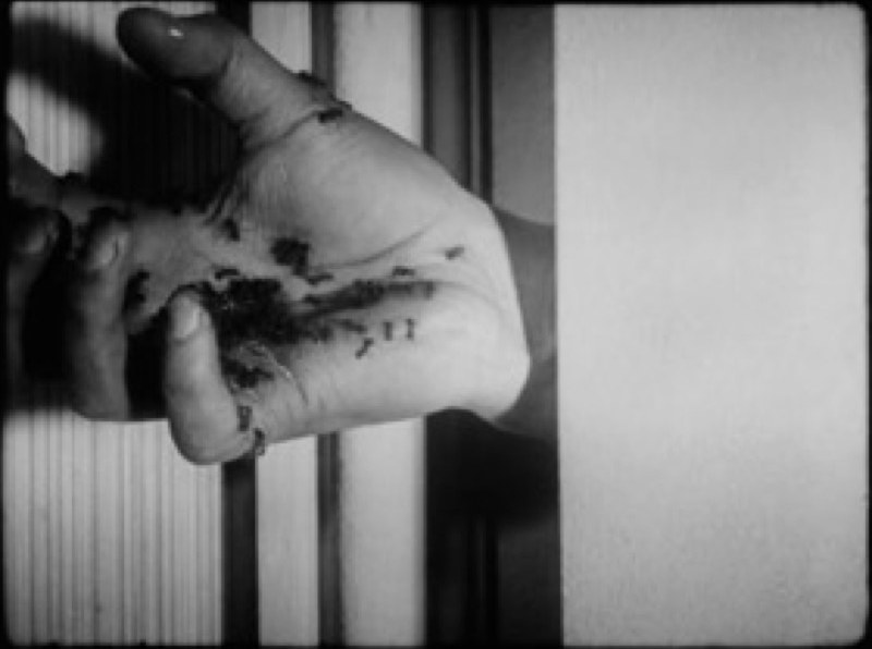 Un Chien Andalou en vivo, still