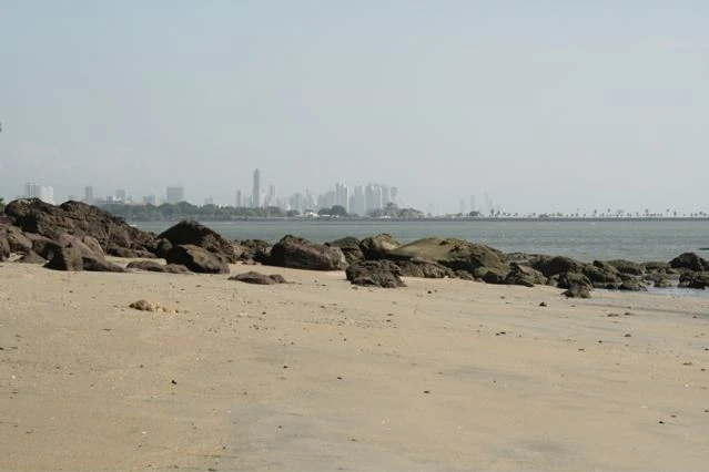 <span class="L en">The city across the bay, 2010</span><span class="L es">La ciudad al otro lado de la bahía, 2010</span>
