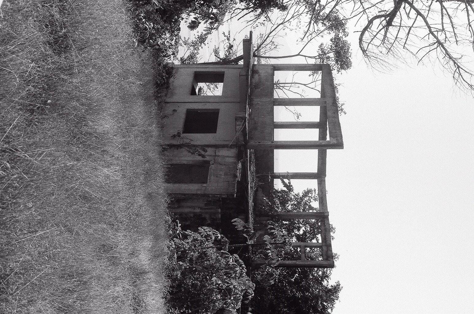 <span class="L en">Palo Seco, 2010. Scanned negative</span><span class="L es">Palo Seco, 2010. Negativo escaneado</span>