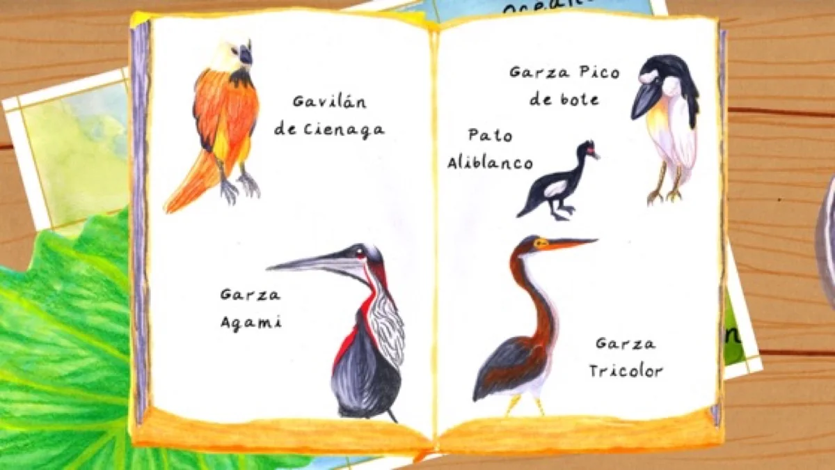 La Selva Llama, still