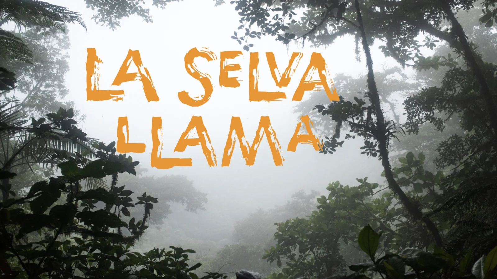 La Selva Llama, still
